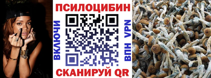 где купить наркоту  Вяземский  Галлюциногенные грибы Magic Shrooms 
